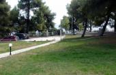 Сад,паркинг(вид из мезонетта)